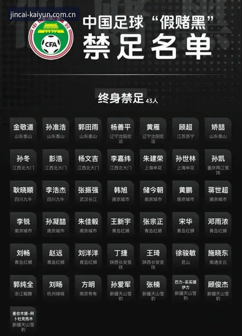中国足球整顿事件深度分析指南：从第三批禁足名单看行业未来走向